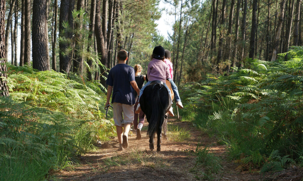 balade cheval landes