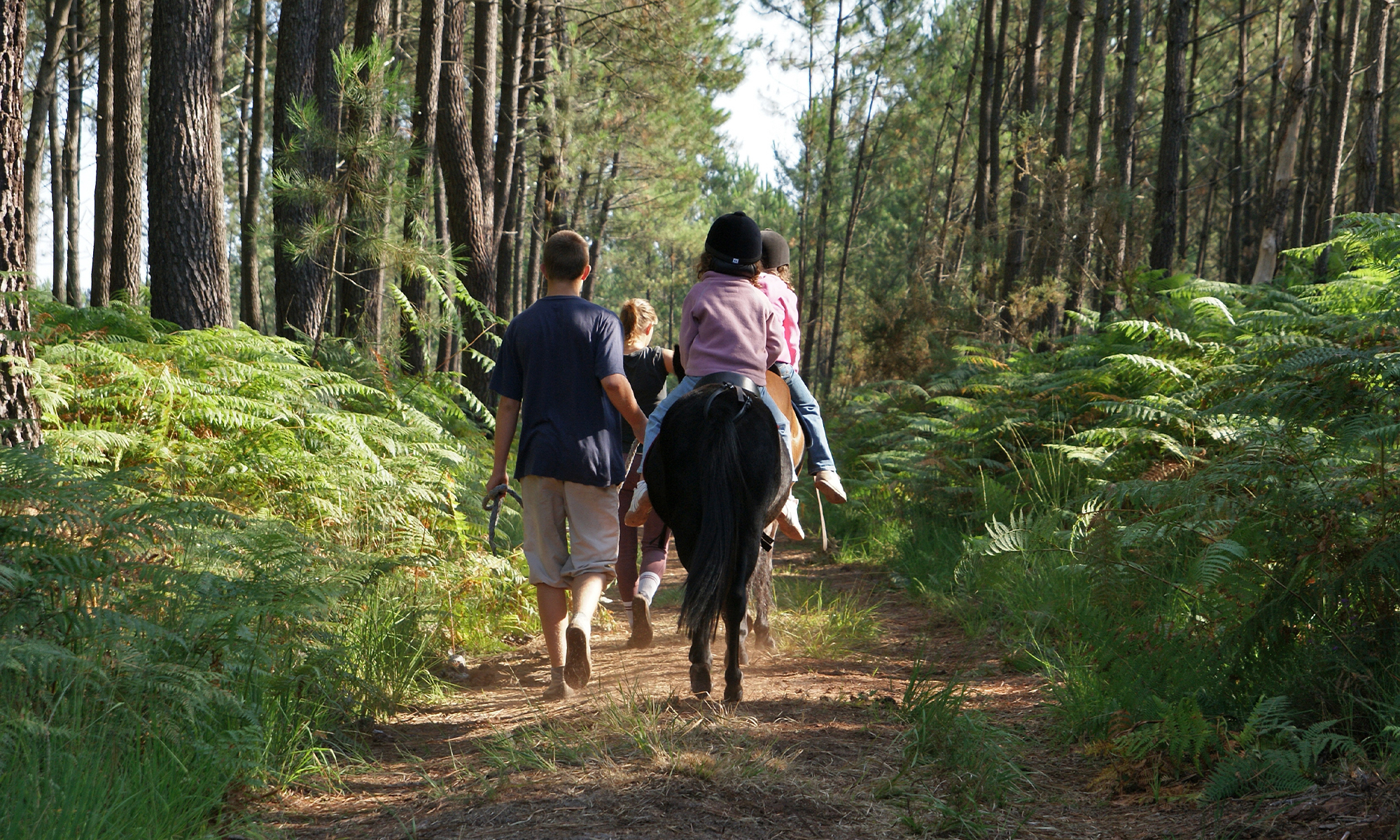 balade cheval landes