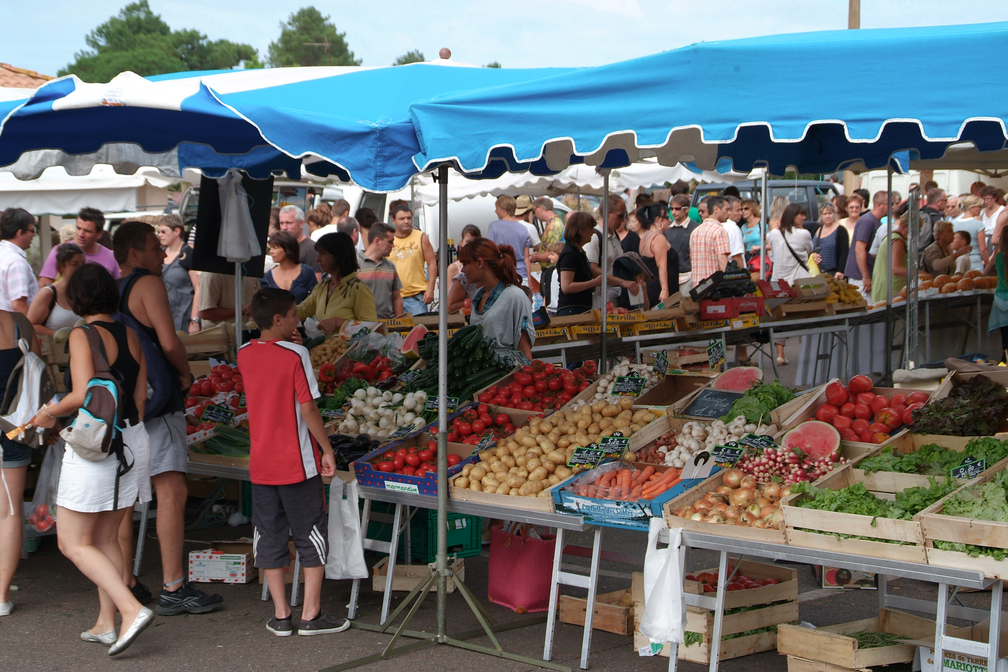 marche dans les landes