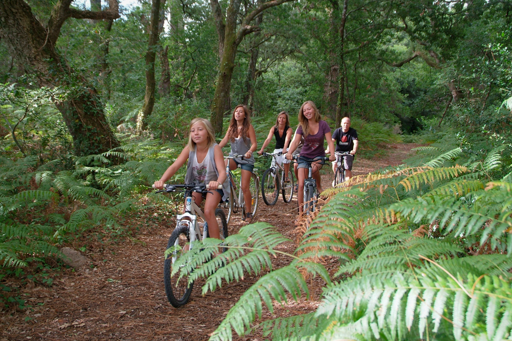 velodyssee landes