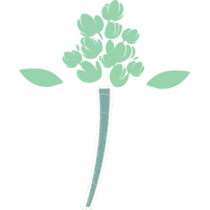 cropped favicon png