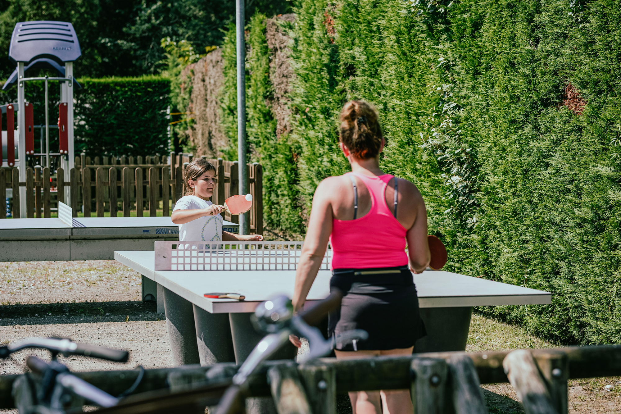 table ping pong